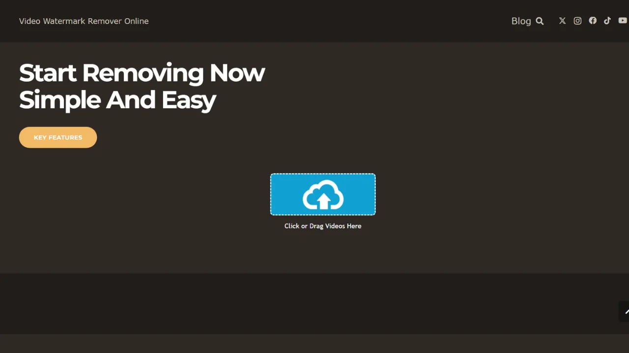 Video Watermark Remover Online