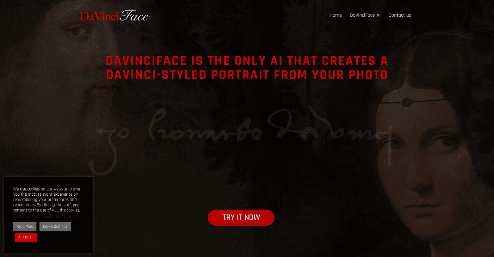 DaVinciFace