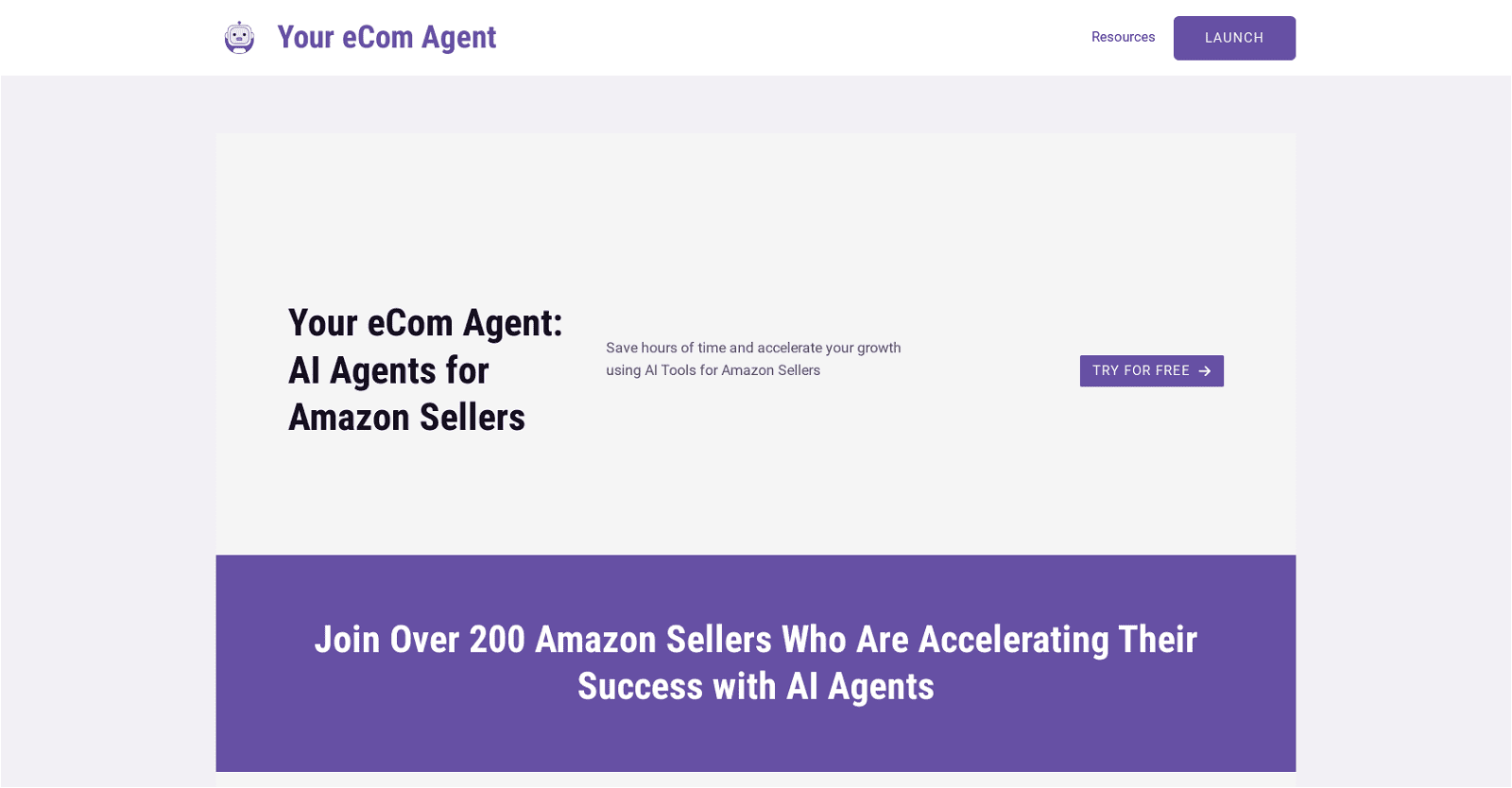 Your eCom Agent